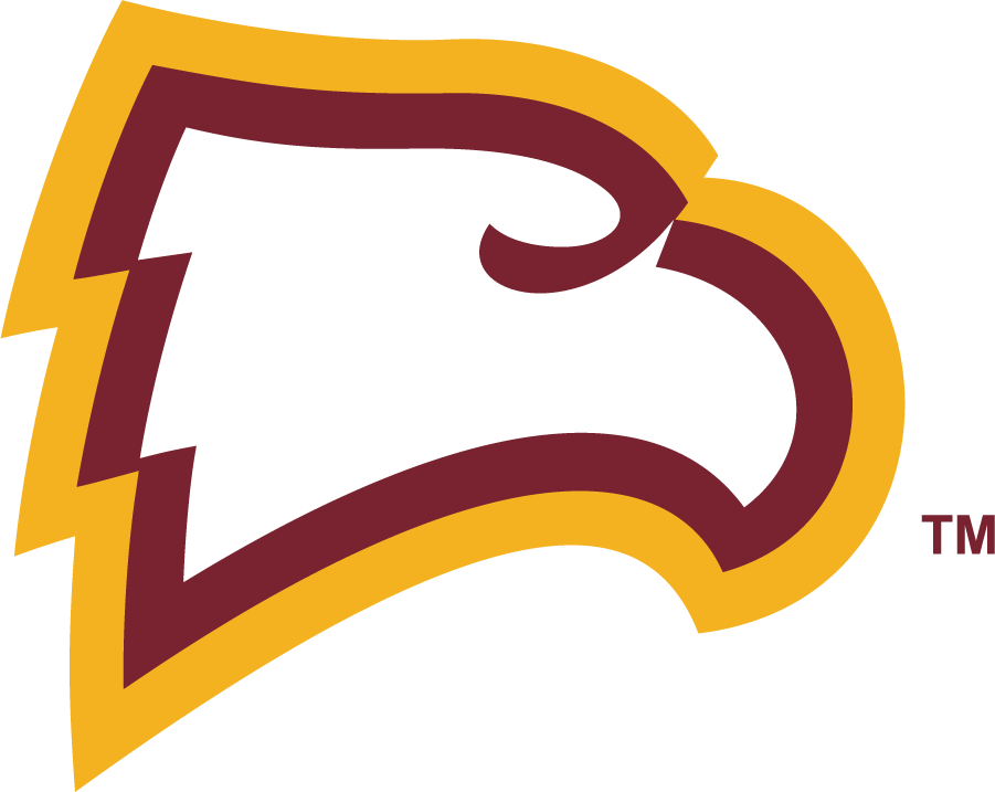 Winthrop Eagles 2020-Pres Primary Logo diy DTF decal sticker